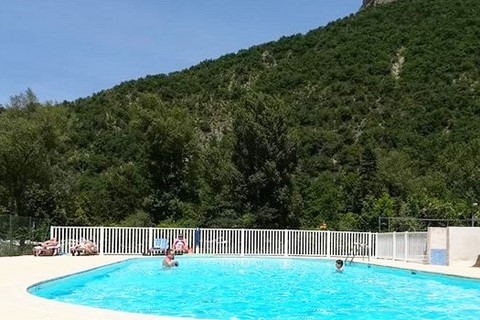 pisicne 
